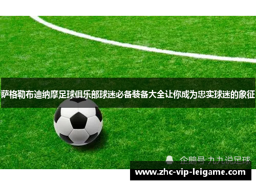 萨格勒布迪纳摩足球俱乐部球迷必备装备大全让你成为忠实球迷的象征